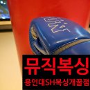 용인대SH복싱 이미지
