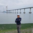 필금 Daum카페