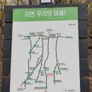 안골길 티스토리