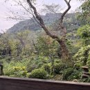 레이센 | [일본 사가 가족여행] 일본 사가 료칸/카쿠레이센/Kakureisen/내돈내산