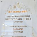 아린 아이래쉬