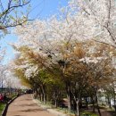 송정동-7 이미지