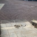 스테이 아이올라 이미지