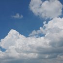 한티별빛아래관광농원야영장 이미지