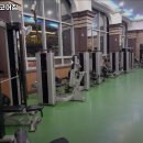 엠하드코어짐 이미지