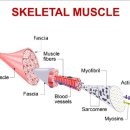 오피티스튜디오 이미지