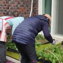 꽃동네경로당 이미지