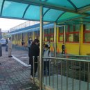 도평초교 이미지