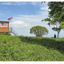 산길따라 이미지