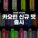썬파인 | KAORIN) 전자담배 신규 4종 출시! 멜론·에너지·리치·파인애플 솔직 시연 솔직 후기 [수유전자담배]