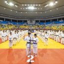 유도 전라일보