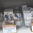 승일자동차공업(주) | [울산 가볼만한 곳] 리뉴얼된 울산박물관, 미디어아트&amp;체험형 전시 한가득!
