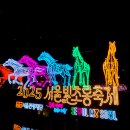 하늘 빛 꿈 | 1️⃣ [서울빛초롱축제 2025] 청계천 빛초롱 후기✨ 잉어킹·갸라도스 실물 총정리!