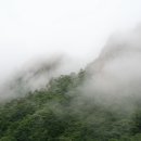 귀암 Daum카페