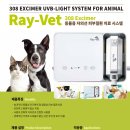 동탄중앙동물병원 이미지