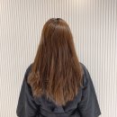 탈색 안하고 염색 :: 쿠퍼 브라운 염색
