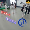 배곧 충효 태권도 이미지