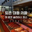 [대관공연] 평화의 소리, 광주 | [경기] 퇴촌 어 로프 슬라이스 피스 감성 가득 대관 가능한 카페