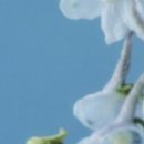 델핀플라워 - 중구 삼일대로 363 | 델핀플라워