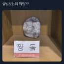 이상인테리어 - 강릉시 연주로 466 | 이상인테리어