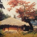 고향초가집