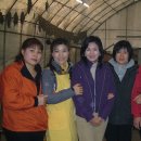 고골농장 이미지