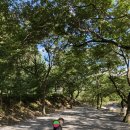 밤골야영장 이미지