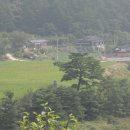 평창 수항리사지 이미지