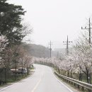 어은1리 경로당 이미지