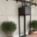 라파우자 이미지