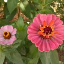 진량국민체육공원 이미지