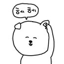 춘천 고양이집 이미지