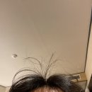 롯데리아 청계산입구역점 이미지