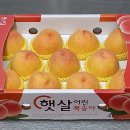 행복농원