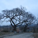 웅비(아) 이미지