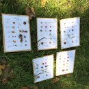 금파초교 이미지