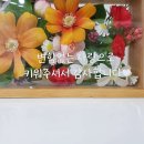 라이블리블룸 이미지