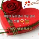 16개 이상 꼭 배우고 할꺼 배울수 있길 이미지