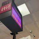성진 | 노량진수산시장 제철 해산물 쭈꾸미 도다리 맛집 ‘금왕수산, 성진수산’ 내돈내산 후기