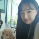 태안 애견동반 카페, 모켄뮤지엄 포토존 예뽀♥