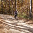 금강송계곡민박 이미지