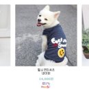 필소굿 이미지