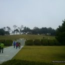 홍주의사총 이미지