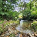 숲속의 하얀펜션 이미지