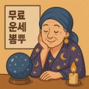 뽐뿌 | 무료 운세 뽐뿌 완전 정복
