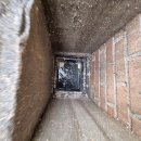 단물곤물 정관점 이미지