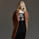 도그-in 하우스 이미지