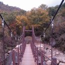 원지경호탕 이미지