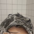 진성피엘 | 남성 여성 두피케어 탈모기능성샴푸 추천, 가성비 대용량 살림백서 비오틴 맥주효모샴푸 후기