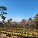 안식목장 이미지